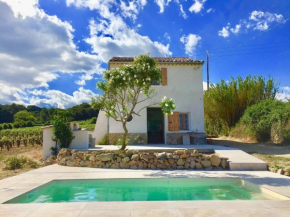 Villa Charmante avec Piscine privée au coeur des Vignes